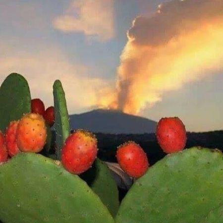 Villa Fraele Acireale Dış mekan fotoğraf