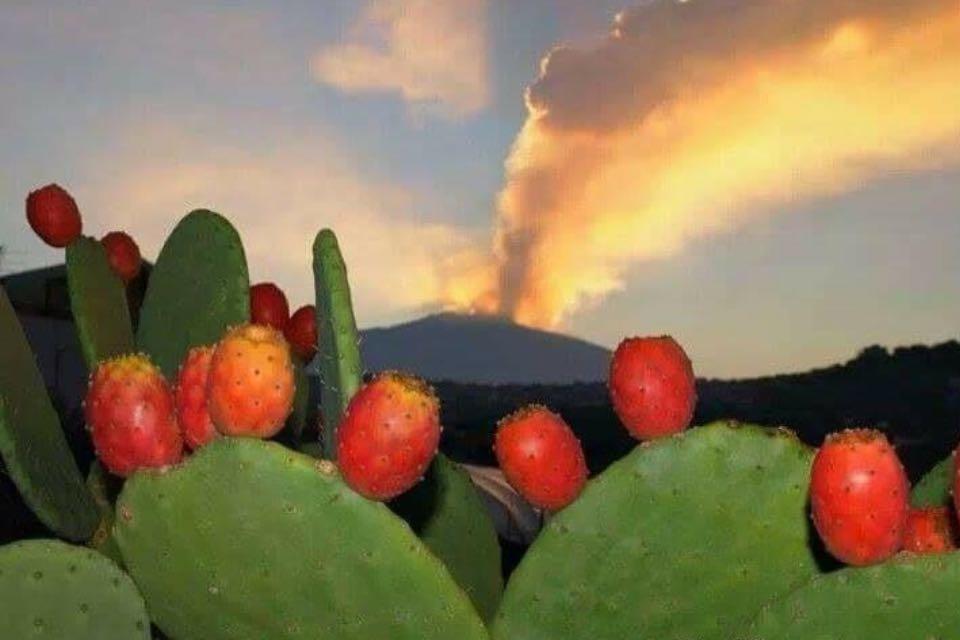 Villa Fraele Acireale Dış mekan fotoğraf