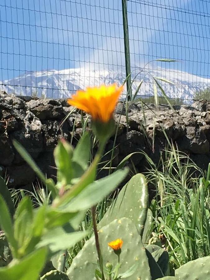 Villa Fraele Acireale Dış mekan fotoğraf
