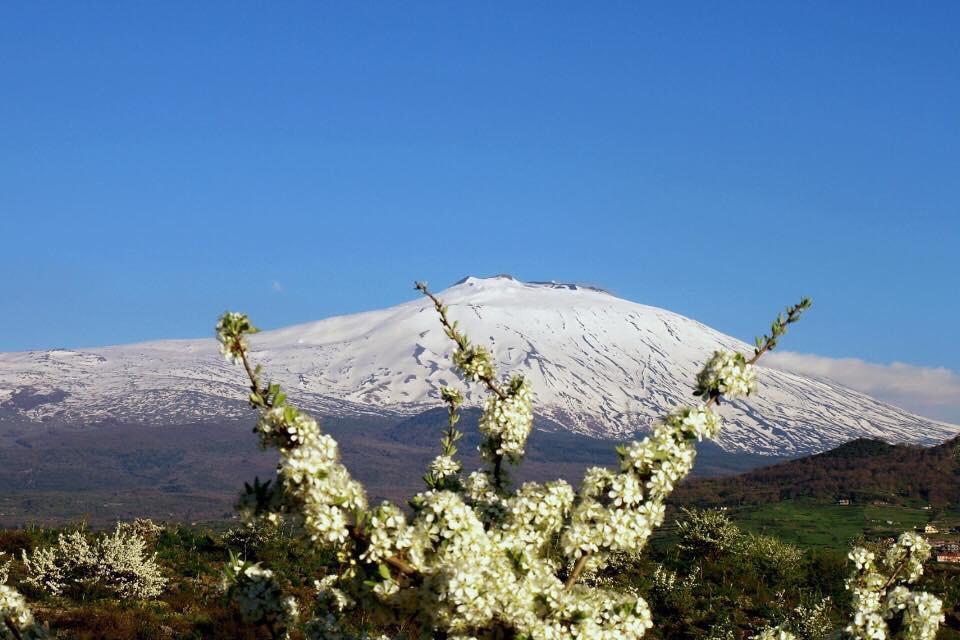 Villa Fraele Acireale Dış mekan fotoğraf